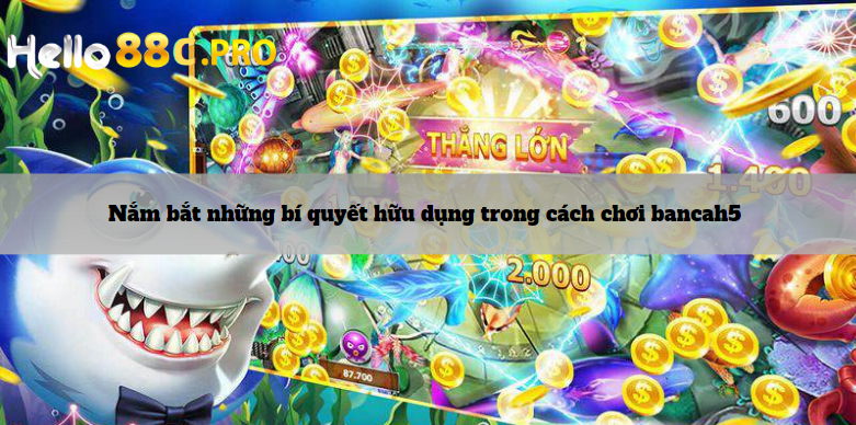 Nắm bắt những bí quyết hữu dụng trong cách chơi bancah5